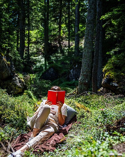 der heutige Tipp : ein gutes Buch und den Platz kennen wir ! www.gradonna.at #gradonnamountainresort #nationalparkhohetauern #waldluftbaden #einatmenausatmen #relax #urlaubindenbergen ...